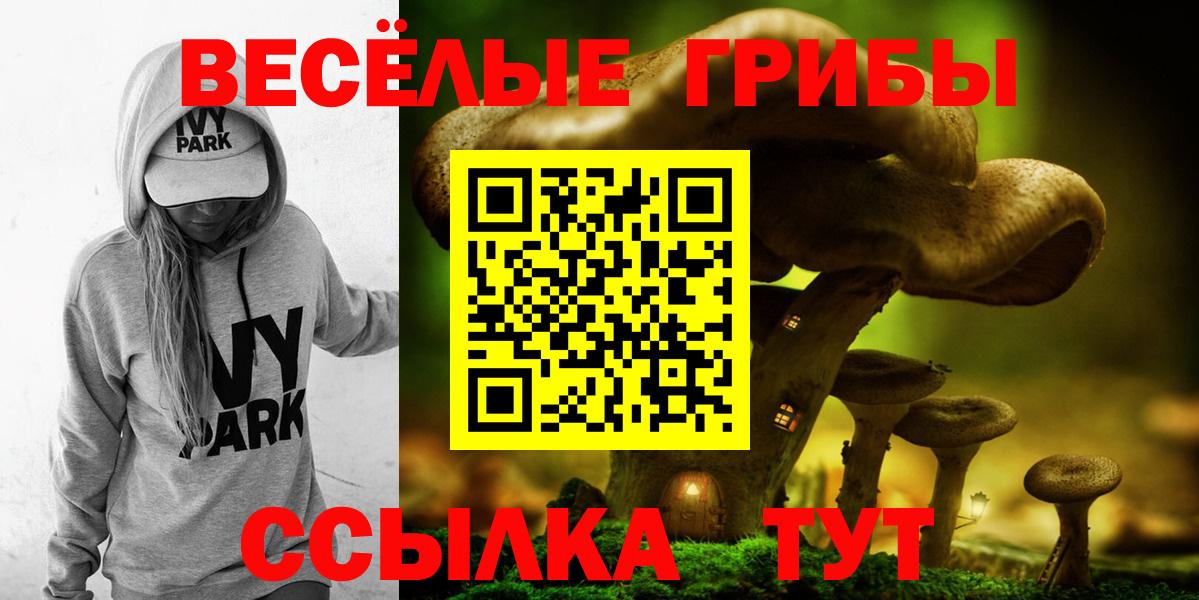 Псилоцибиновые грибы Psilocybine cubensis Краснодар